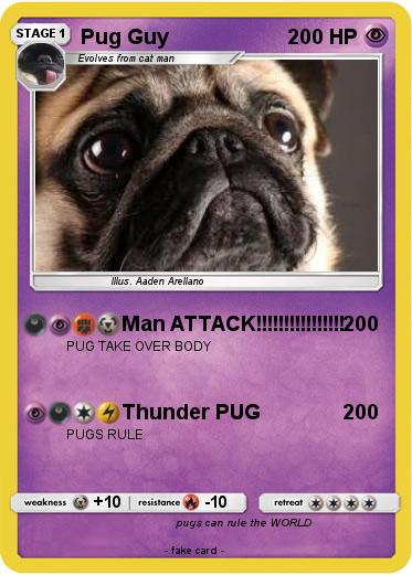 Pokemon Pug Guy