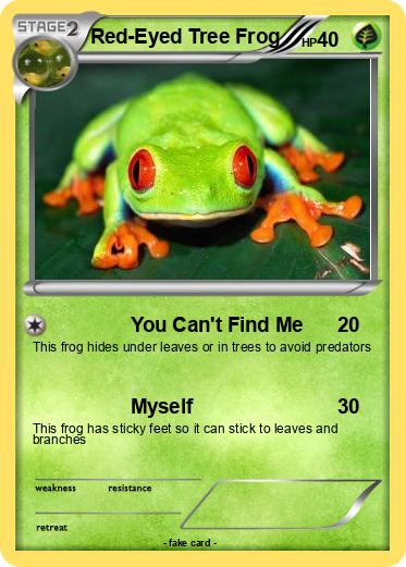 Pokemon Red-Eyed Tree Frog