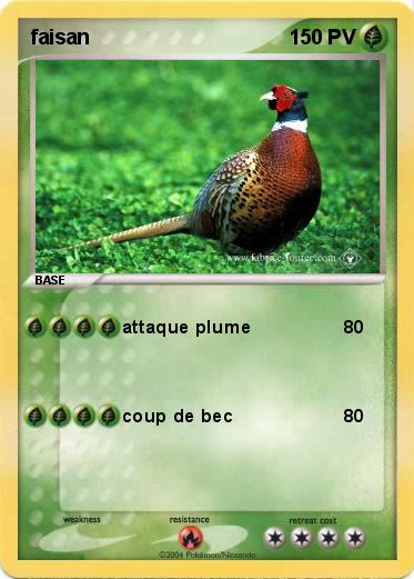 Pokemon faisan
