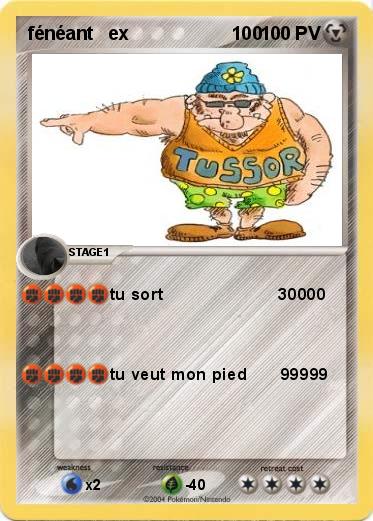 Pokemon fénéant   ex                    100