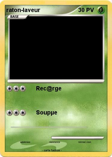 Pokemon raton-laveur