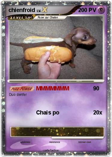 Pokemon chienfroid