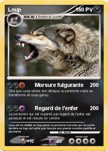 Pokemon Loup