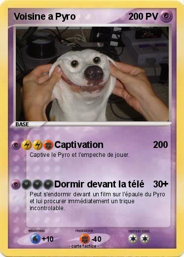Pokemon Voisine a Pyro