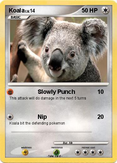 Pokemon Koala