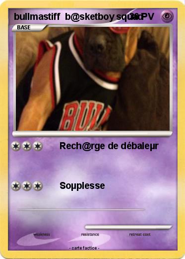Pokemon bullmastiff  b@sketboy squad