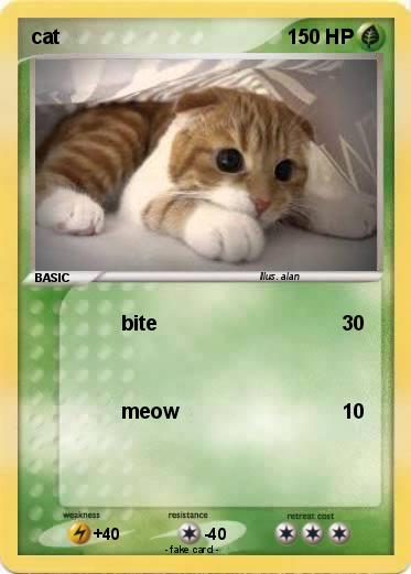 Pokemon cat