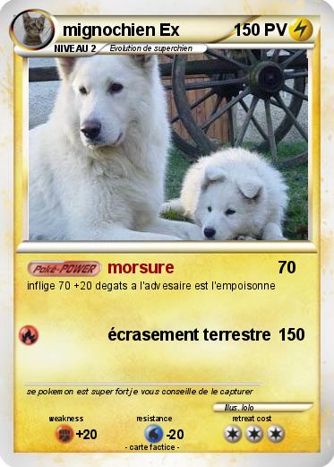 Pokemon mignochien Ex
