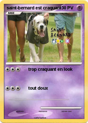 Pokemon saint-bernard est craquant