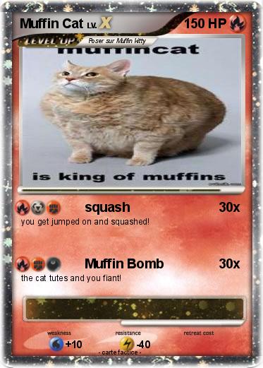 Pokemon Muffin Cat