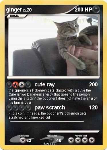 Pokemon ginger