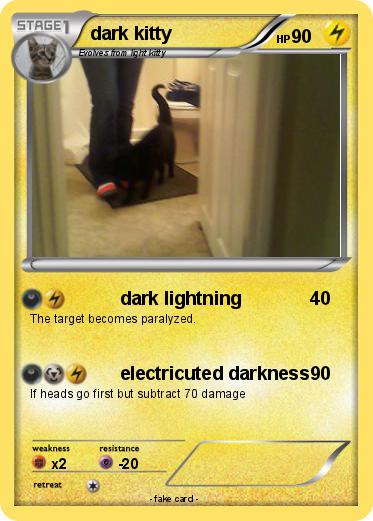 Pokemon dark kitty