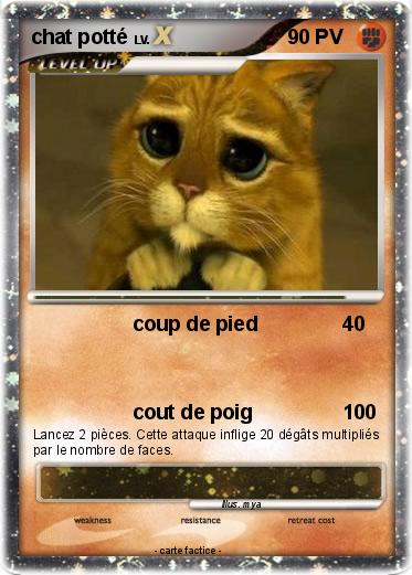 Pokemon chat potté