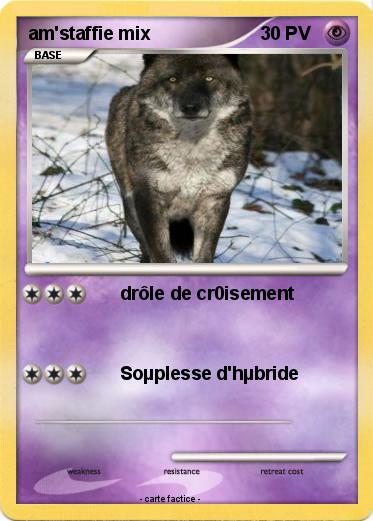 Pokemon am'staffie mix