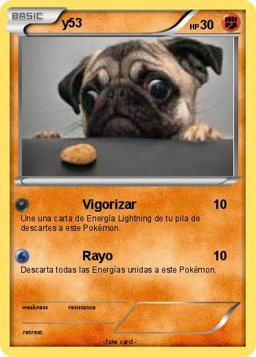 Pokemon y53