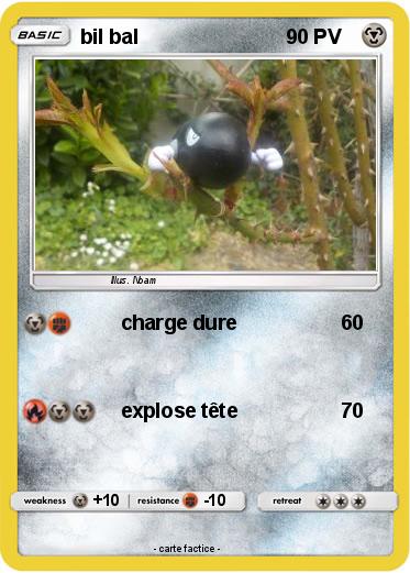 Pokemon bil bal