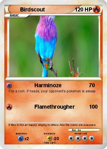 Pokemon Birdscout