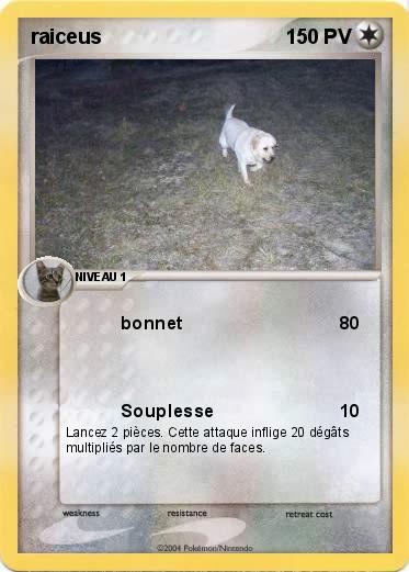 Pokemon raiceus
