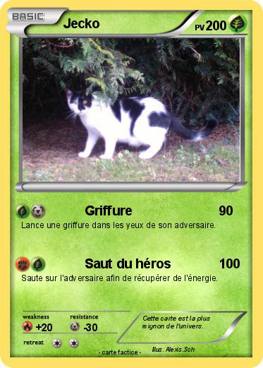 Pokemon Jecko
