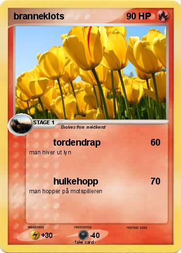 Pokemon branneklots