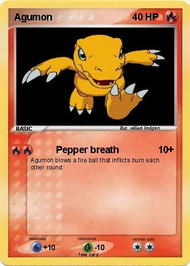 Pokemon Agumon
