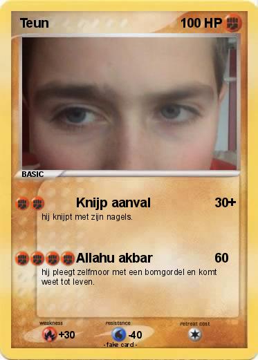 Pokemon Teun
