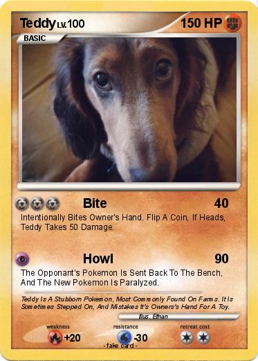 Pokemon Teddy