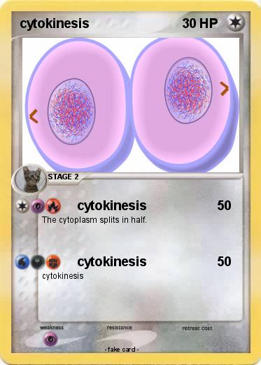 Pokemon cytokinesis