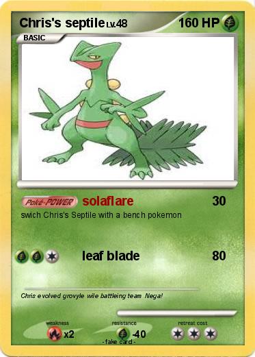 Pokemon Chris's septile