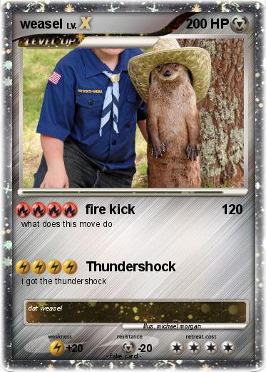 Pokemon weasel