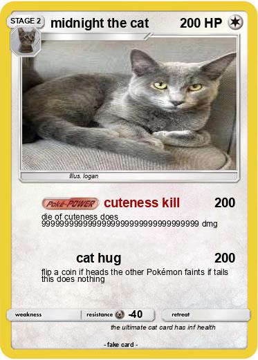 Pokemon midnight the cat
