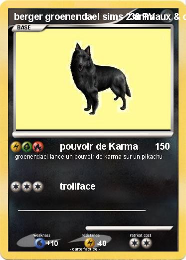 Pokemon berger groenendael sims 2 animaux & cie PC