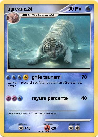 Pokemon tigreau