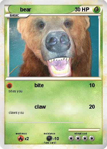 Pokemon bear