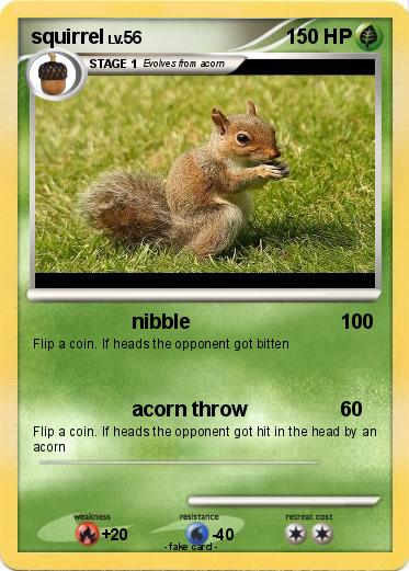 Pokemon squirrel