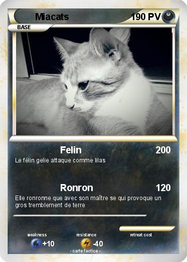 Pokemon Miacats