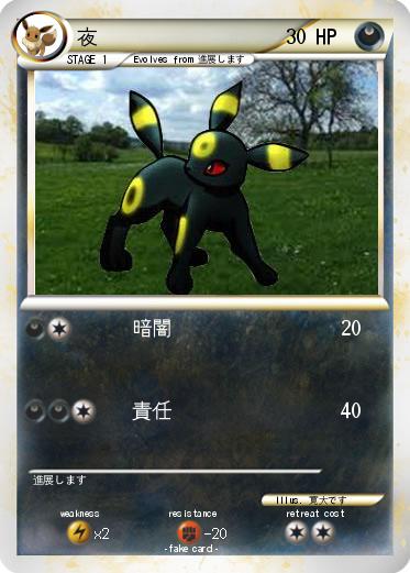 Pokemon 夜