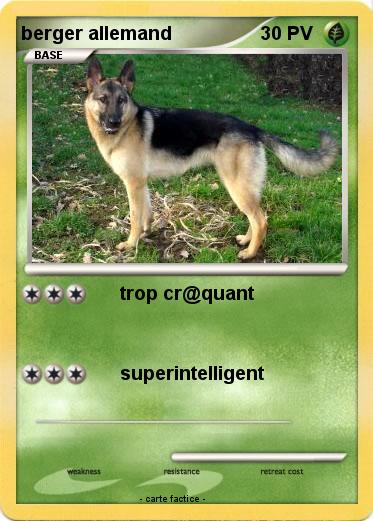 Pokemon berger allemand