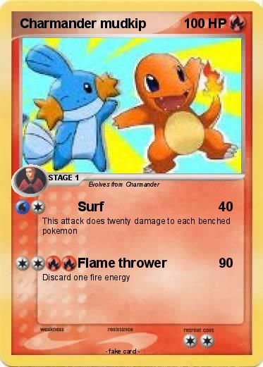 Pokemon Charmander mudkip