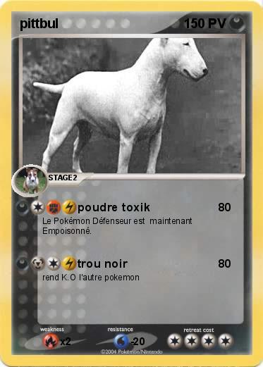 Pokemon pittbul