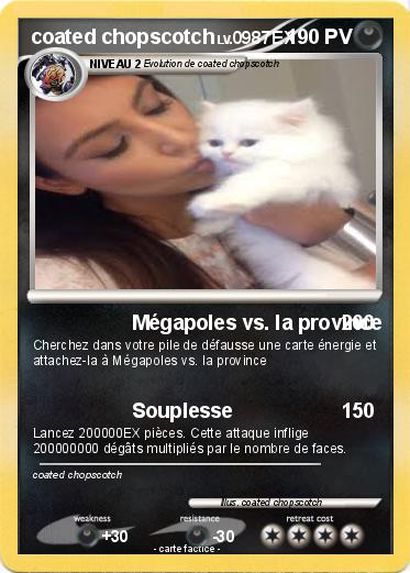 Pokemon coated chopscotch