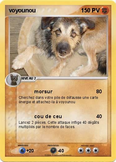 Pokemon voyounou
