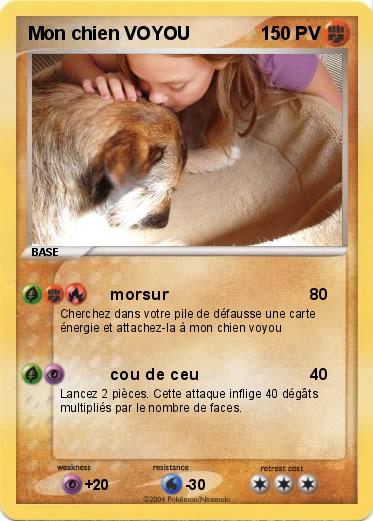 Pokemon Mon chien VOYOU 