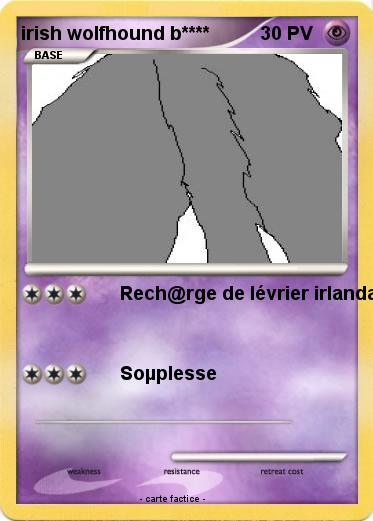 Pokemon irish wolfhound b****