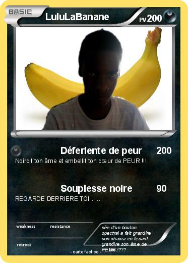 Pokemon LuluLaBanane