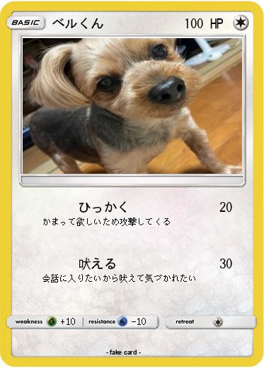 Pokemon ベルくん