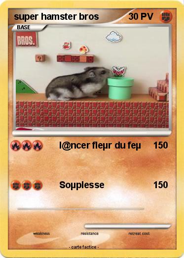 Pokemon super hamster bros
