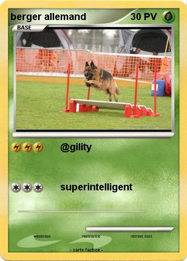 Pokemon berger allemand