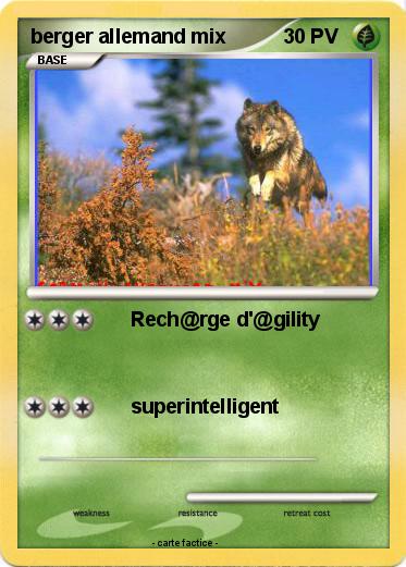 Pokemon berger allemand mix