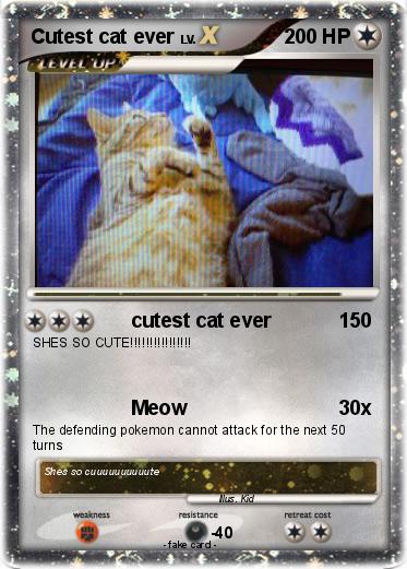 Pokemon Cutest cat ever